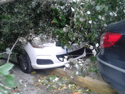 Έπεσαν δέντρα πάνω σε αυτοκίνητα από το δυνατό άνεμο στον Βόλο
