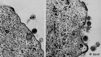 Κάθε μέρα 6.000 προσβάλλονται από τον ιό.Κάθε μέρα 6.000 άνθρωποι προσβάλλονται από τον ιό.
