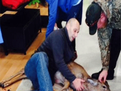 Ελάφι πήγε… για ψώνια