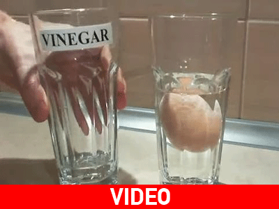 Τι παθαίνει ένα αβγό στο ξίδι;