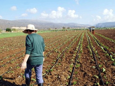 Ενισχύσεις 32 εκατ. σε γεωργούς και κτηνοτρόφους