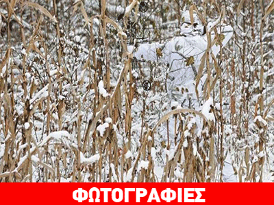 Μπορείτε να τους βρείτε;