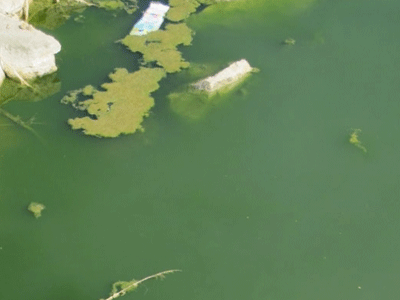 Σύρος: Στη θάλασσα τα λύματα του βιολογικού καθαρισμού Σύρος: Στη θάλασσα τα λύματα του βιολογικού καθαρισμού