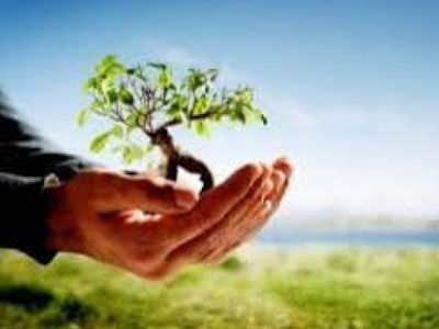 Συμβολική δενδροφύτευση στους κήπους του Πασά στην Άνω Πόλη