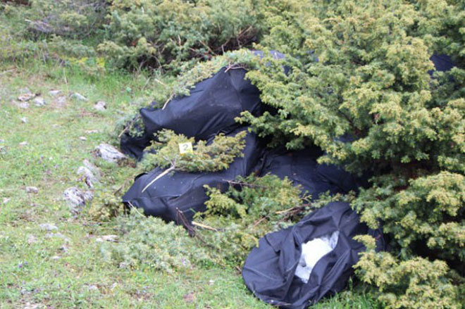 Κρυμμένες βαλίτσες με κάνναβη