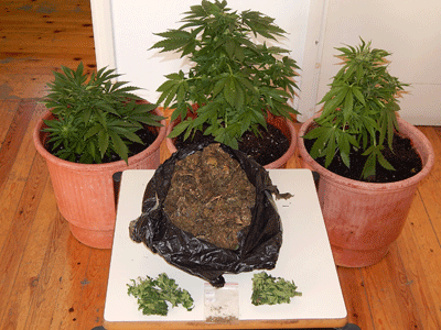 Κρήτη: Ο έλεγχος στο αυτοκίνητο έβγαλε … λαβράκι