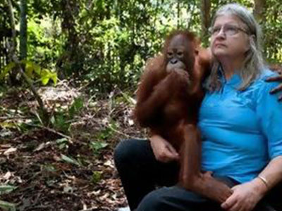 Η γυναίκα που ζει με τους ουρακοτάγκους!