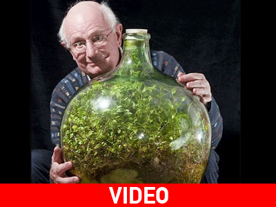 Διατηρεί «αθάνατο» φυτό σε σφραγισμένο μπουκάλι από το 1972