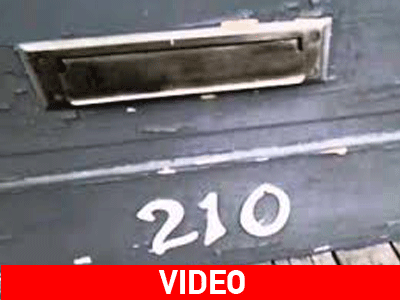 Γάτα VS ταχυδρόμου