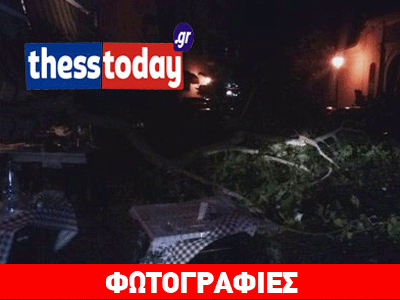 Θεσσαλονίκη: Δέντρο έπεσε σε ταβέρνα!