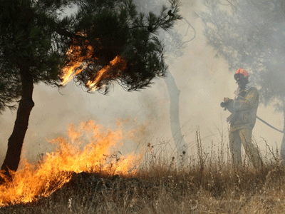 Τρία πύρινα μέτωπα στην Αχαΐα