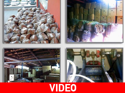 Είχε κάνει το σπίτι του εργοστάσιο καπνού