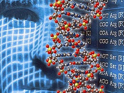Πώς ο ανθρώπινος πολιτισμός επηρεάζει τα γονίδια