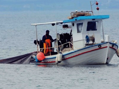 Κρήτη: Κατάσχεσαν 420 κιλά παράνομη ψαριά