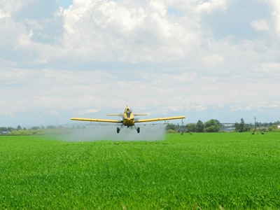 Θεσσαλονίκη: Άρχισαν οι ψεκασμοί για τα κουνούπια