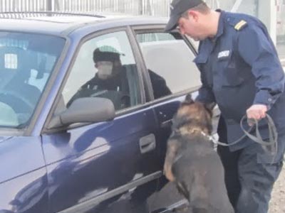 Ημαθία: Είχαν «φορτώσει» το αυτοκίνητο με ναρκωτικά