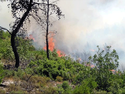 Μεγάλη φωτιά σε δασική έκταση στο Ηράκλειο
