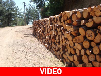 Αυτός είναι ο πιο γρήγορος τρόπος για να κόψεις ξύλα