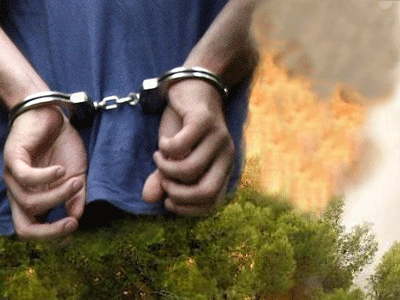 Προφυλακιστέος ο 39χρονος για τις πυρκαγιές στον Καρέα Προφυλακιστέος ο 39χρονος για τις πυρκαγιές στον Καρέα