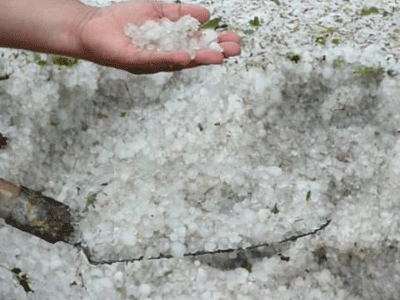 Παραγωγοί μηνύουν τον ΕΛΓΑ για το χαλάζι