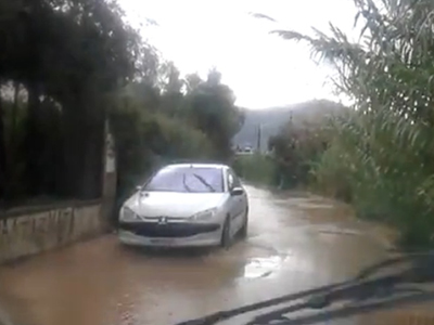 Πάτρα: Έπεσε δένδρο στον Άγιο Βασίλειο