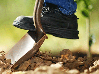 Επιδοτήσεις 17 εκατομμυρίων ευρώ σε νέους αγρότες