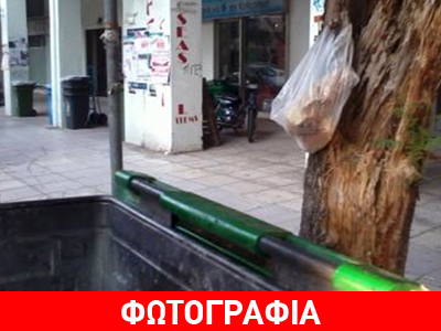 Αφήνουν φαγητά σε κάδους απορριμμάτων στην Πάτρα