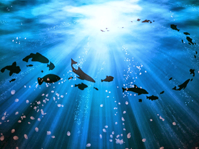 Συνέδριο για την αποκατάσταση της παραγωγικότητας των ωκεανών