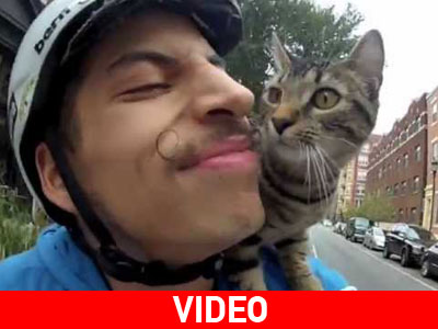 Ποδηλάτης προπονείται με τη γάτα του στον… ώμο