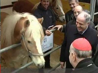 Άλογα, αγελάδες και κοτόπουλα στο Βατικανό