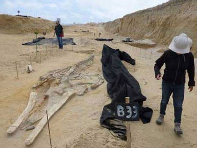 Χιλή: Μαθητές ανακαλύπτουν μούμια ηλικίας 7.000 ετών