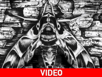 Μπορείτε να βρείτε τη γυναίκα στον πίνακα;