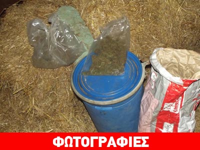 Πατέρας και γιος έκρυβαν τα ναρκωτικά σε αχυρώνα