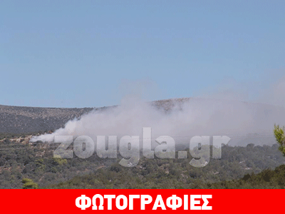 Σε εξέλιξη η φωτιά σε χωματερή στη Νέα Επίδαυρο