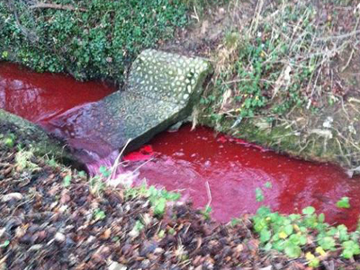 Αγγλία: Το ποτάμι έγινε κόκκινο