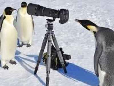 Ερωτευμένοι με τον φακό!