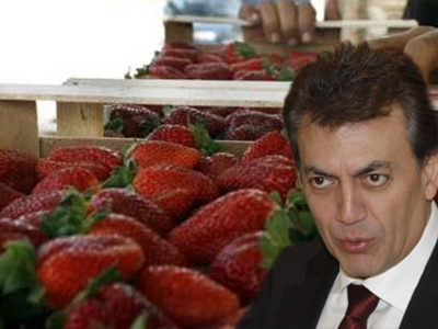 Στην Ηλεία τη Δευτέρα ο Βρούτσης