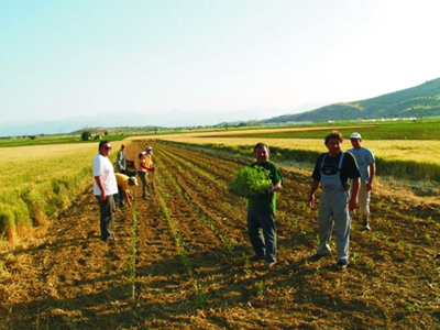 Οι αγρότες κλείνουν όλες τις εφορίες της Κρήτης