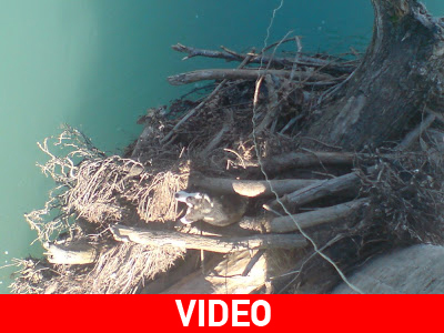 Σώθηκε από θαύμα!