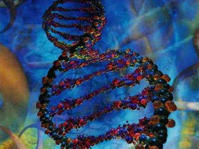 Αναδρομή στην παχυσαρκία από την πλευρά της Βιολογίας