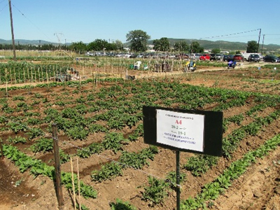 Αλεξ/πολη: Εγκαίνια του δημοτικού βιοαγροκτήματος