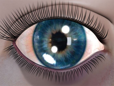 Το Ι.ΙΕΚ ΔΟΜΗ πάει «Αnimasyroς»