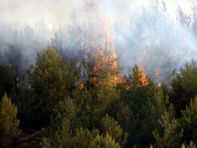 Σε εξέλιξη πυρκαγιές σε Δομοκό και Άρτα