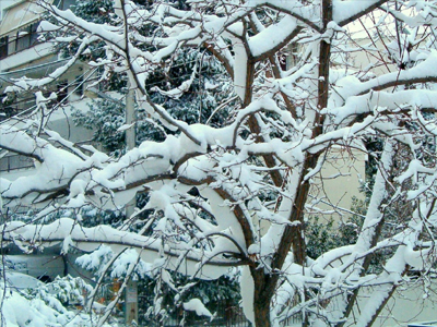 Επιστρέφουν τα χιόνια