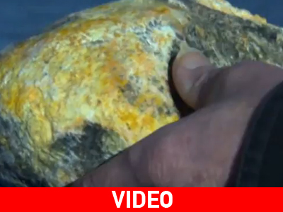 Οι… εκκρίσεις της φάλαινας μπορεί να τον κάνουν πλούσιο!