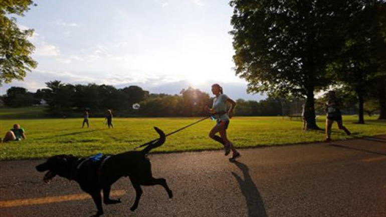 Τρέξε με το σκύλο σου σε αγώνα δρόμου για αδέσποτα στη Θεσσαλονίκη