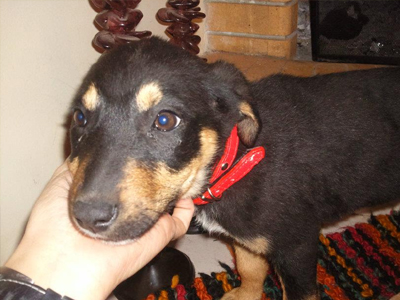 Αναζητούν μια ζεστή αγκαλιά