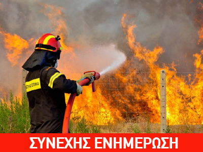 Σε εξέλιξη πυρκαγιά στη Φωκίδα