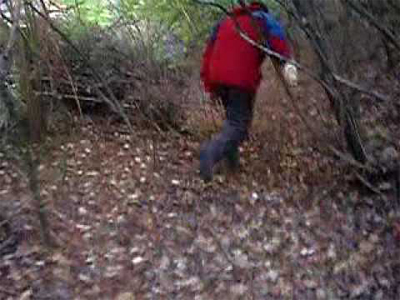 Αγνοείται ηλικιωμένη από τη Ζάκυνθο