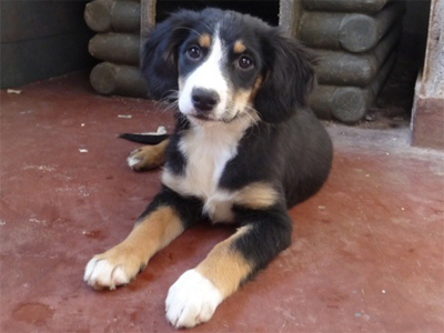 Η γλυκιά Ελίζα θα σας ξετρελάνει